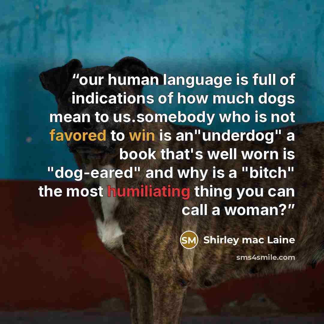 “our human language is full of indications of how much dogs mean to us.somebody who is not favored to win is an"underdog" a book that's well worn is "dog-eared" and why is a "bitch" the most humiliating thing you can call a woman?” quote by Shirley mac Laine