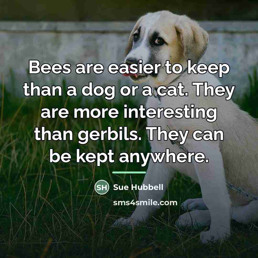 “Bees are easier to keep than a dog or a…” quote by Sue Hubbell