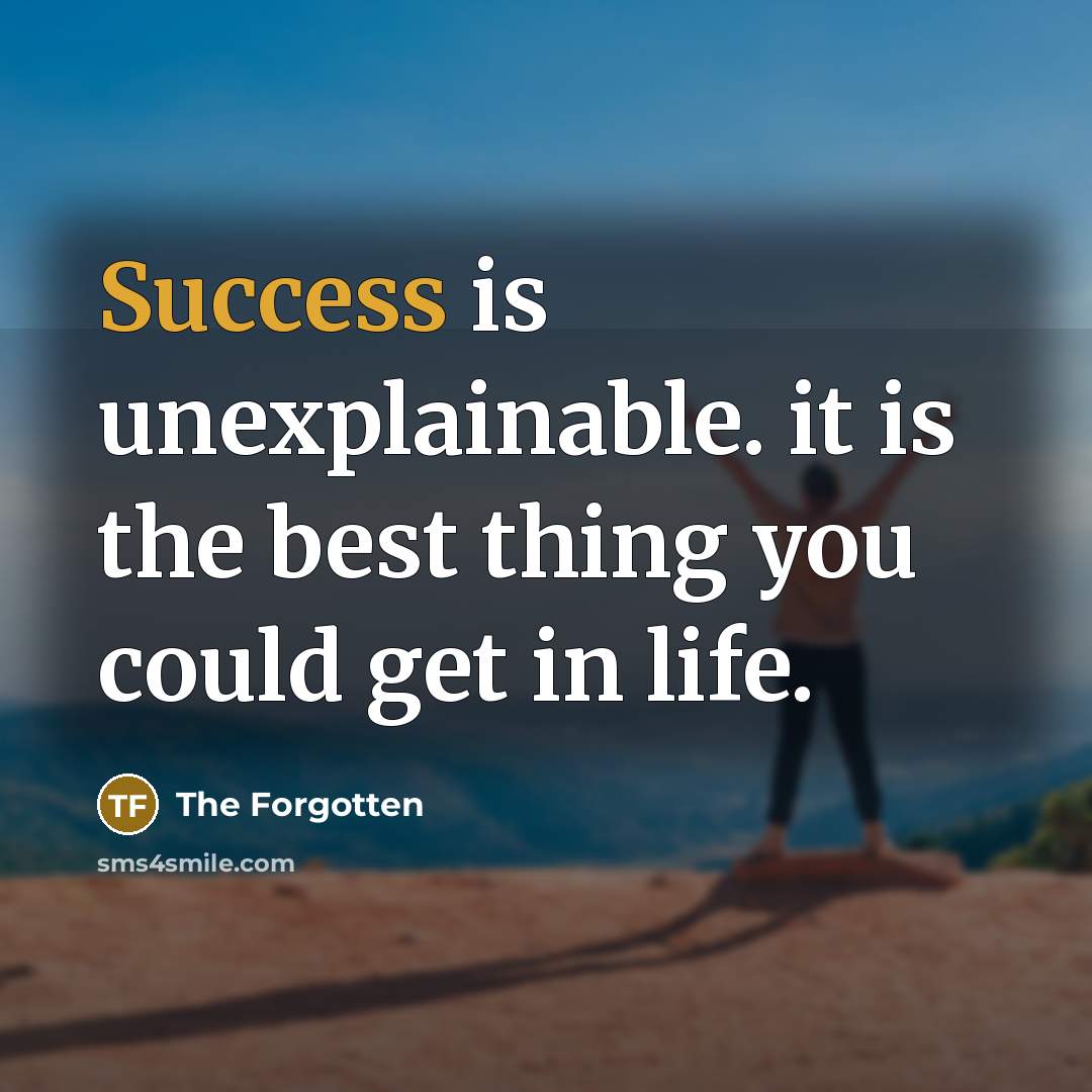 “Success is unexplainable. it is the best thing you could…” quote by The Forgotten