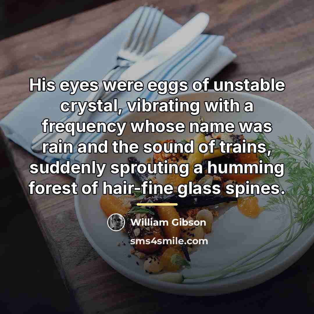 “His eyes were eggs of unstable crystal, vibrating with a…” quote by William Gibson