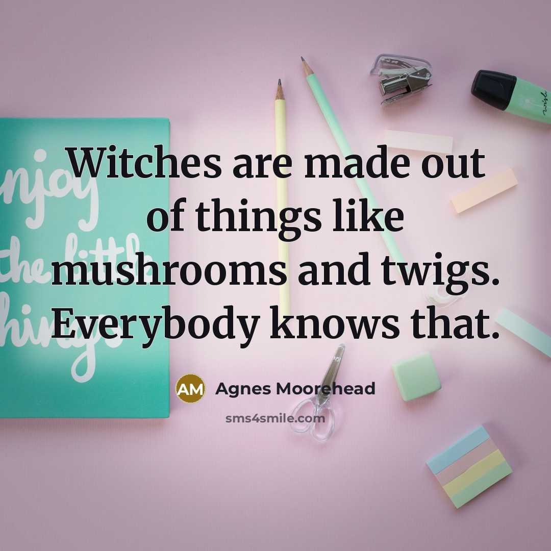 “Witches are made out of things like mushrooms and twigs.…” quote by Agnes Moorehead