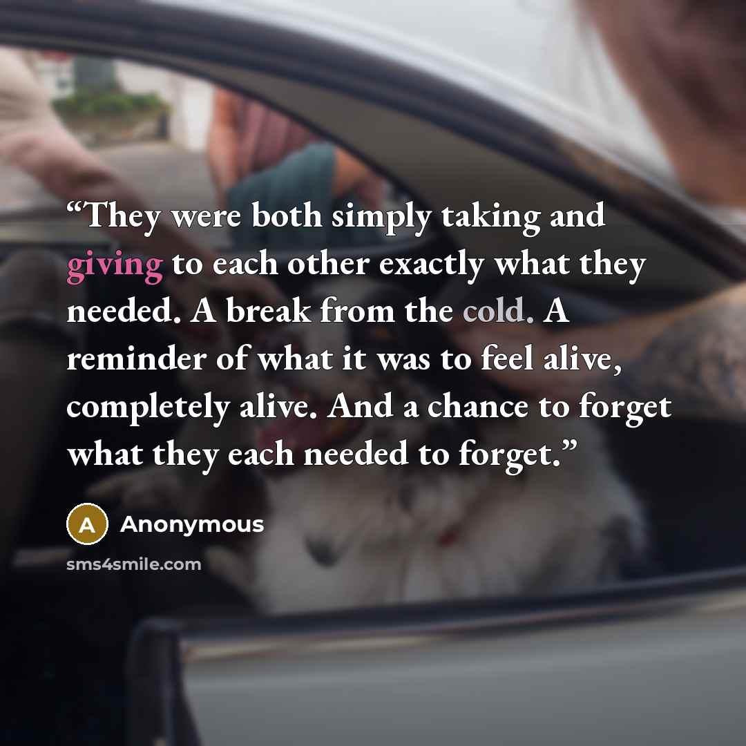 “They were both simply taking and giving to each other exactly what they needed. A break from the cold. A reminder of what it was to feel alive, completely alive. And a chance to forget what they each needed to forget.” quote by Anonymous
