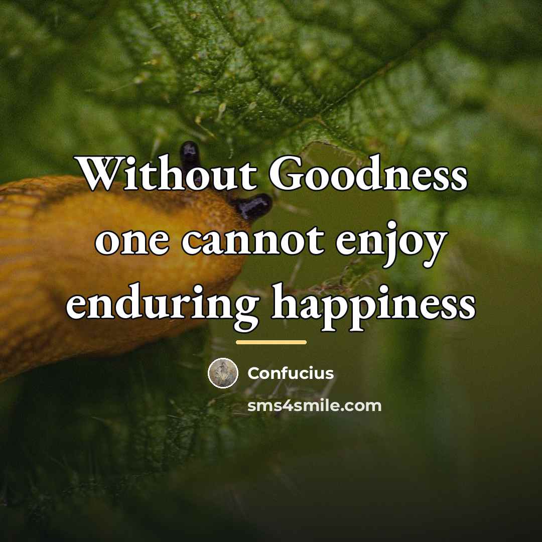 “Without Goodness one cannot enjoy enduring happiness…” quote by Confucius