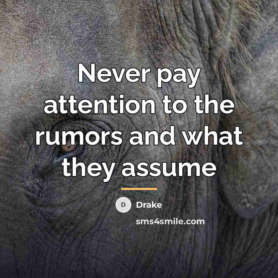 “Never pay attention to the rumors and what they assume…” quote by Drake