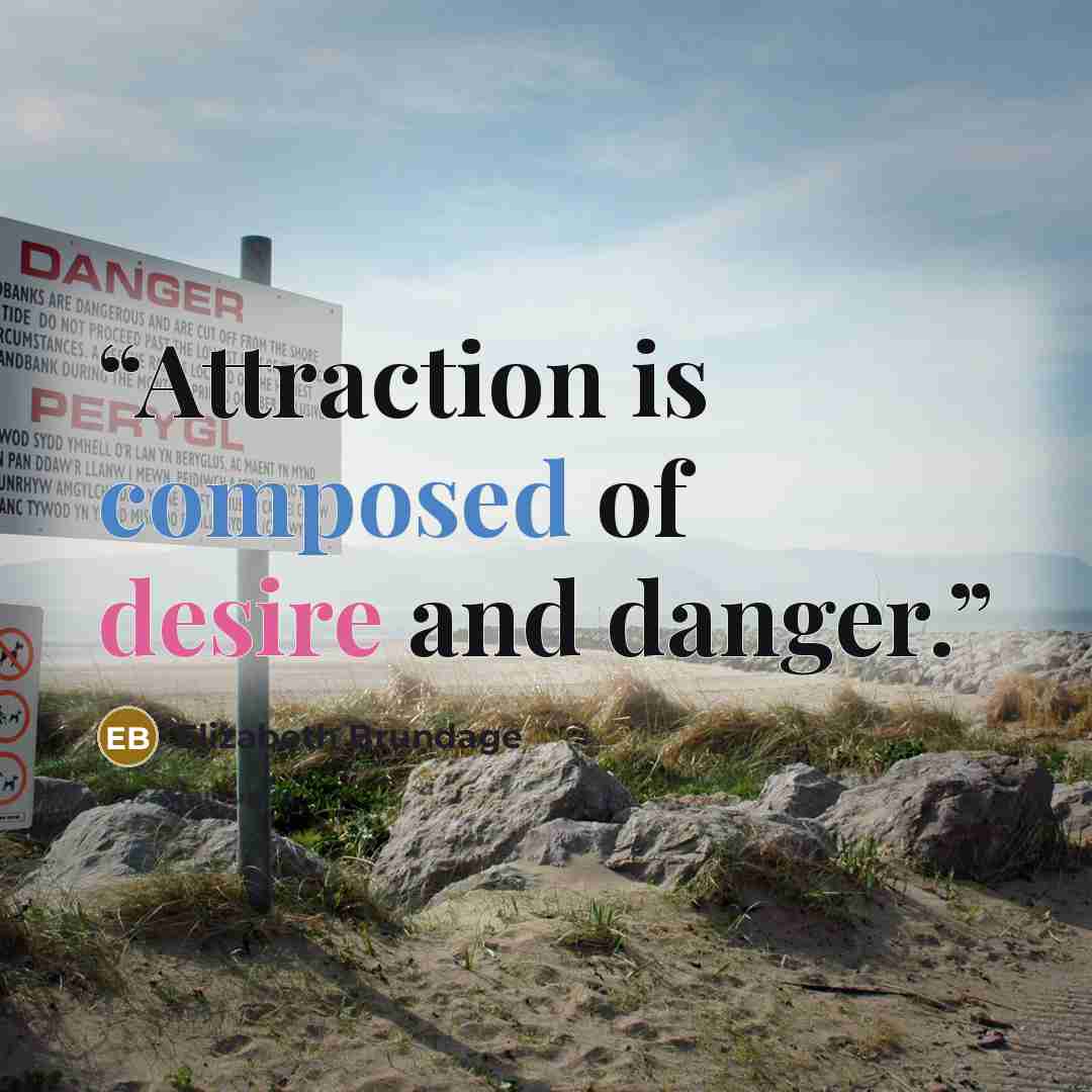 “Attraction is composed of desire and danger.” quote by Elizabeth Brundage