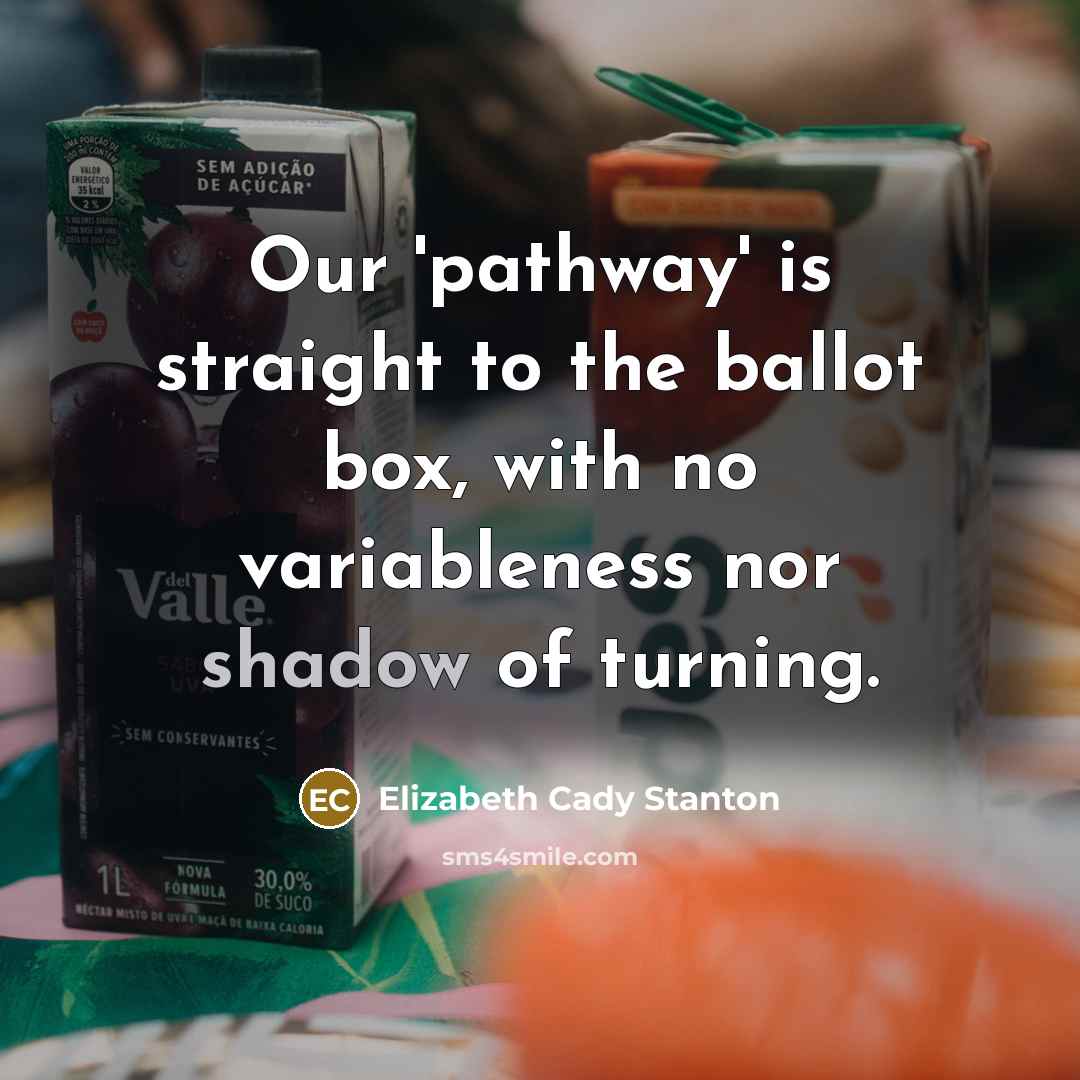 “Our 'pathway' is straight to the ballot box, with no…” quote by Elizabeth Cady Stanton