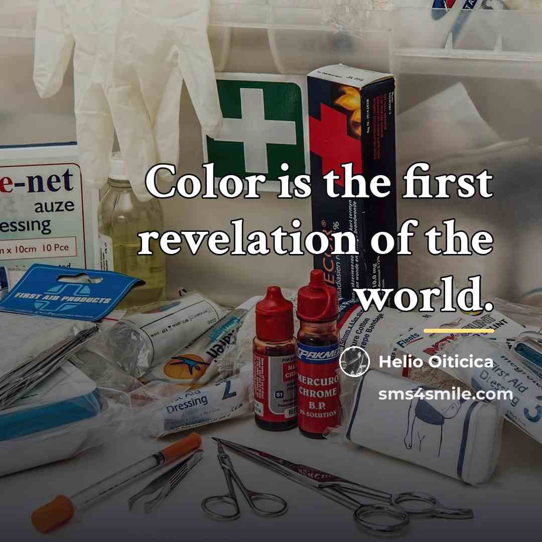 “Color is the first revelation of the world.…” quote by Helio Oiticica