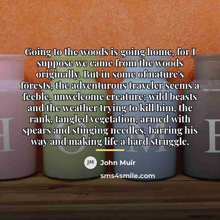 “Going to the woods is going home, for I suppose…” quote by John Muir