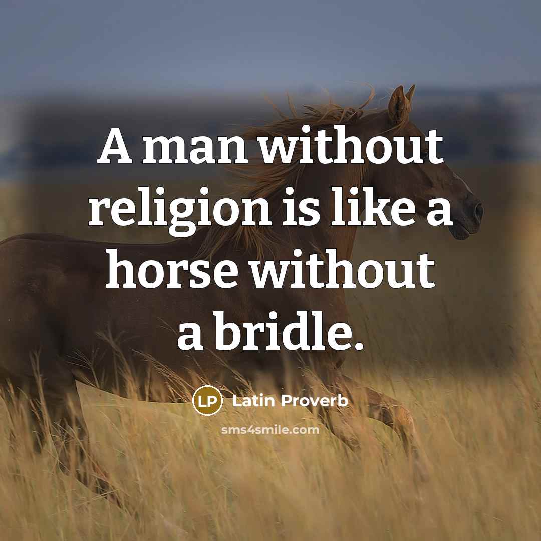 “A man without religion is like a horse without a…” quote by Latin Proverb