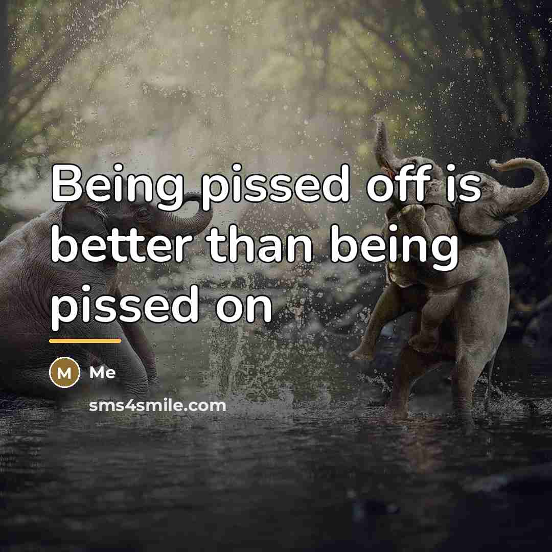 “Being pissed off is better than being pissed on…” quote by Me