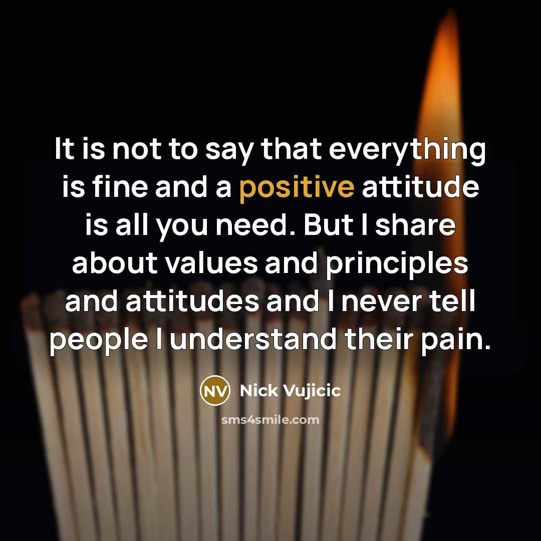 “It is not to say that everything is fine and…” quote by Nick Vujicic
