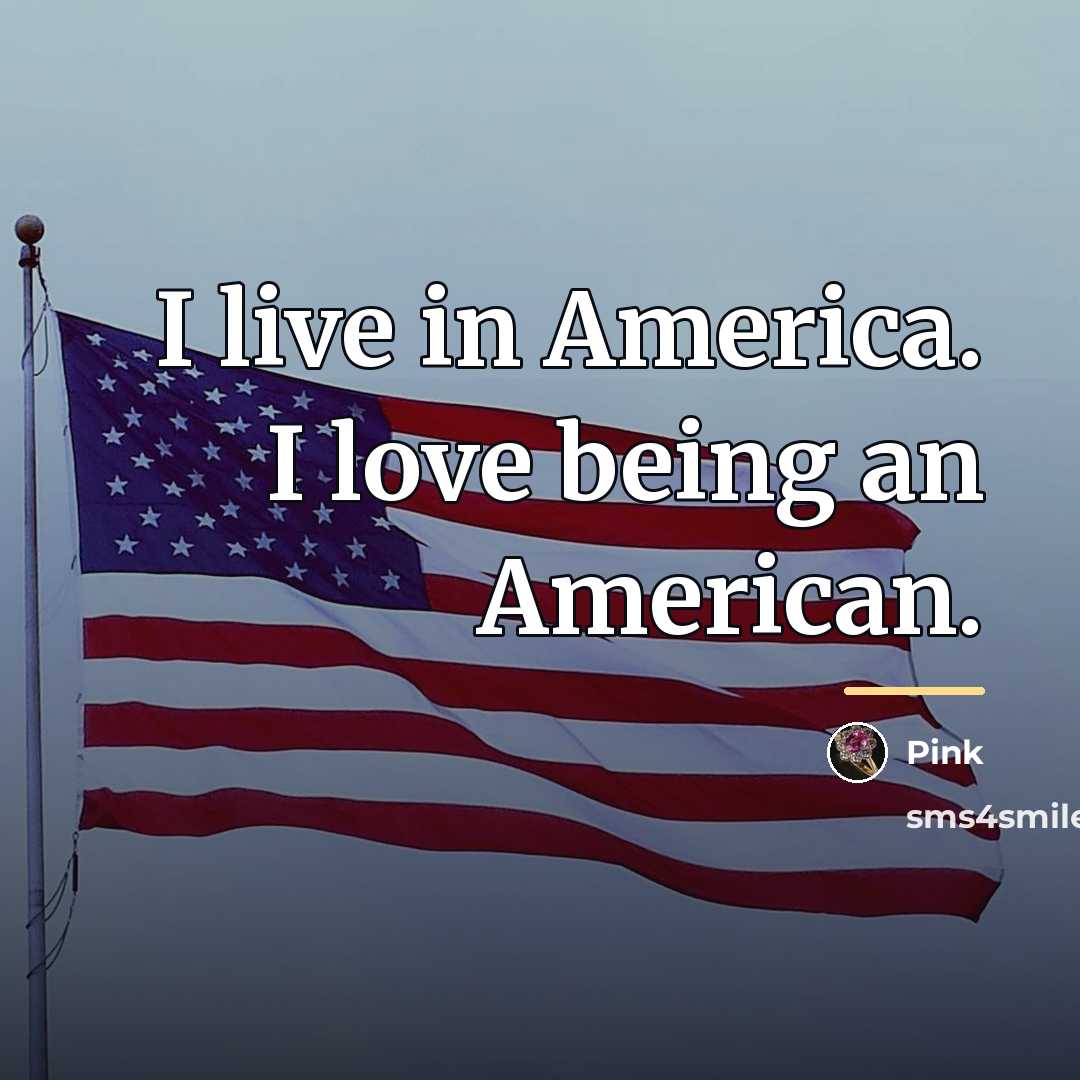 “I live in America. I love being an American.…” quote by Pink
