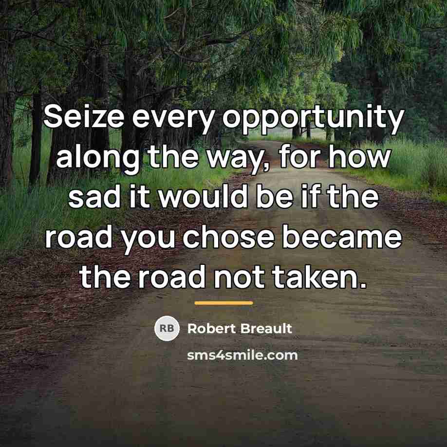 “Seize every opportunity along the way, for how sad it…” quote by Robert Breault