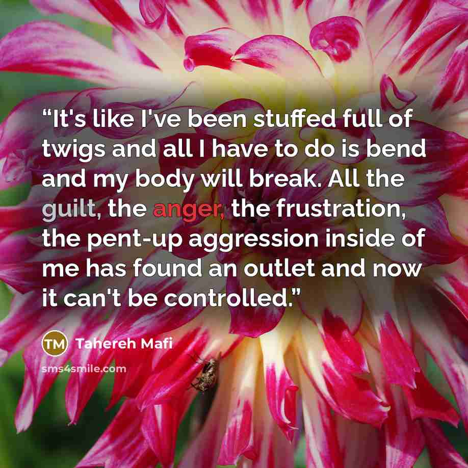 “It's like I've been stuffed full of twigs and all I have to do is bend and my body will break. All the guilt, the anger, the frustration, the pent-up aggression inside of me has found an outlet and now it can't be controlled.” quote by Tahereh Mafi