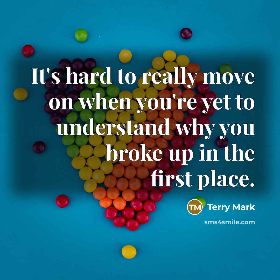 “It's hard to really move on when you're yet to understand why you broke up in the first place.” quote by Terry Mark