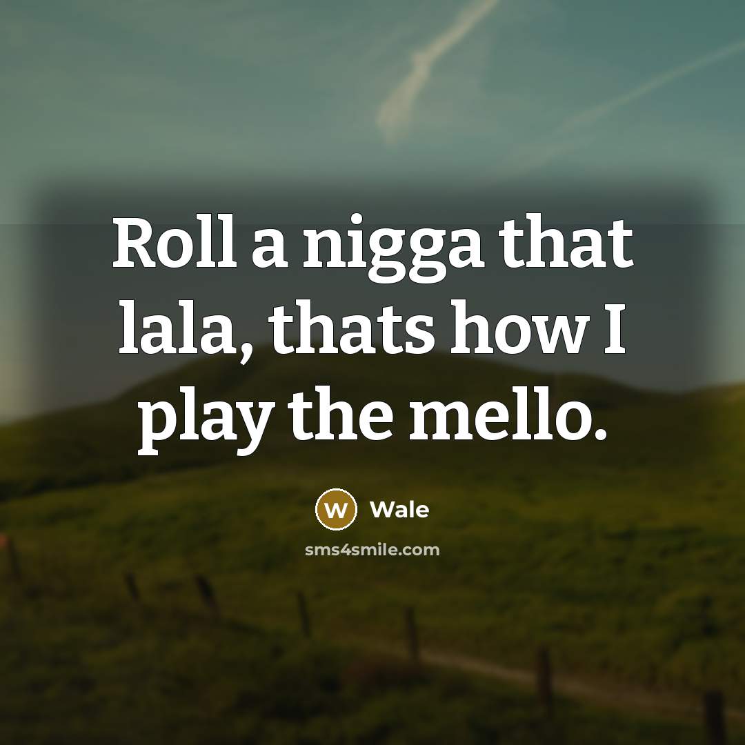 “Roll a nigga that lala, thats how I play the mello.” quote by Wale