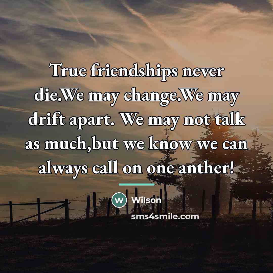 “True friendships never die.We may change.We may drift apart. We…” quote by Wilson
