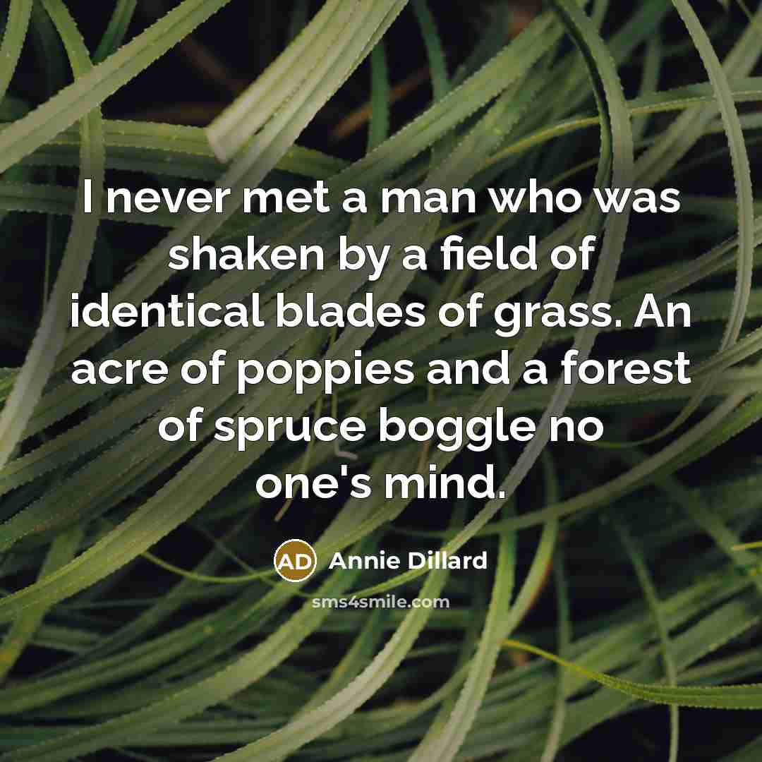 “I never met a man who was shaken by a…” quote by Annie Dillard