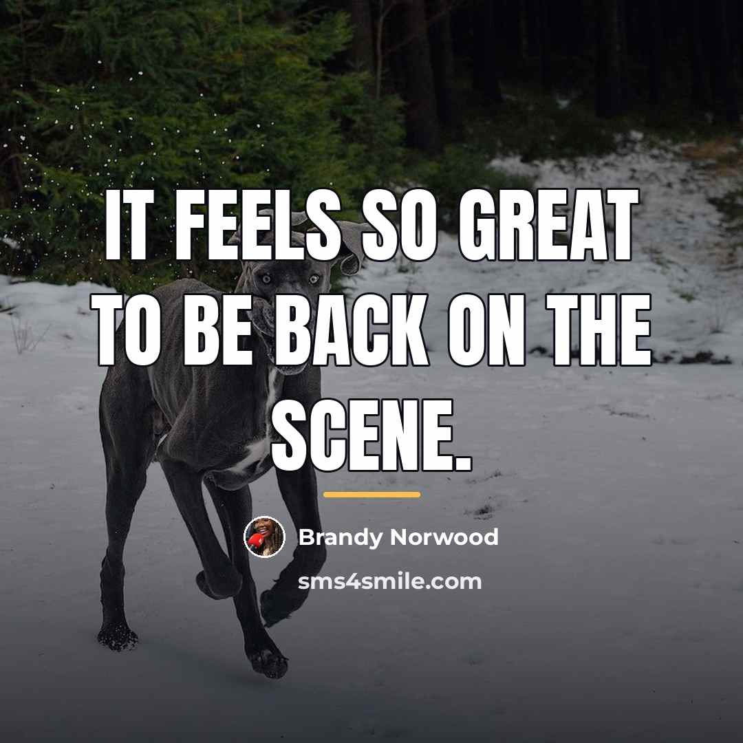 “It feels so great to be back on the scene.…” quote by Brandy Norwood