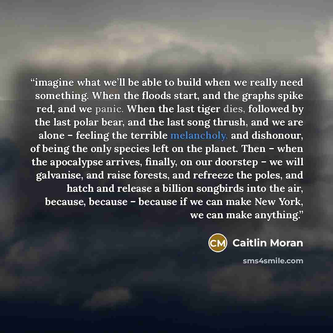 “imagine what we’ll be able to build when we really need something. When the floods start, and the graphs spike red, and we panic. When the last tiger dies, followed by the last polar bear, and the last song thrush, and we are alone – feeling the terrible melancholy, and dishonour, of being the…” quote by Caitlin Moran