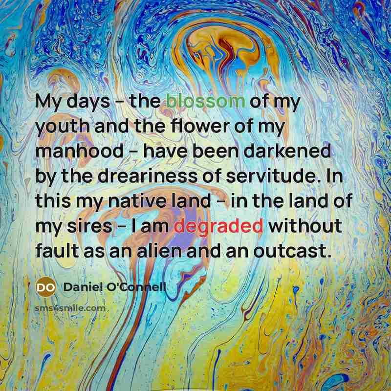 “My days – the blossom of my youth and the…” quote by Daniel O'Connell