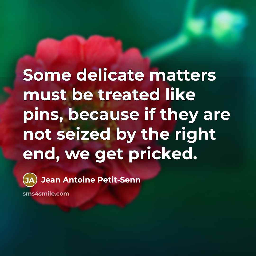 “Some delicate matters must be treated like pins, because if…” quote by Jean Antoine Petit-Senn