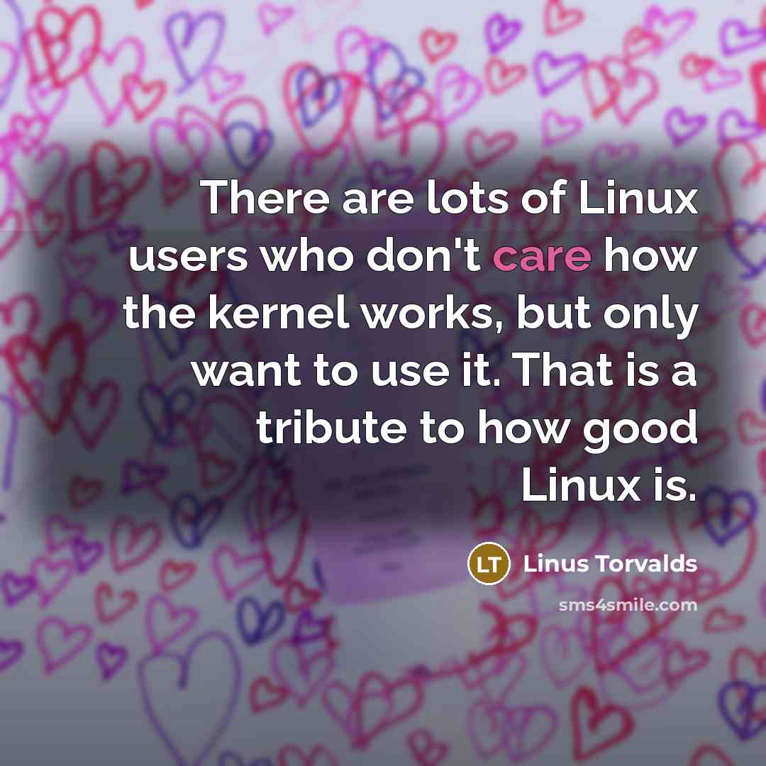 “There are lots of Linux users who don't care how…” quote by Linus Torvalds