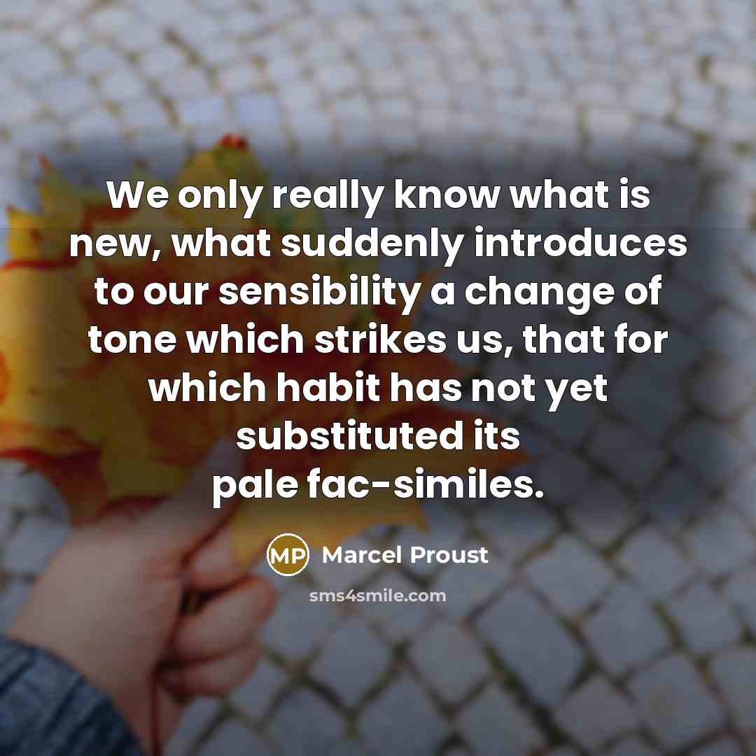 “We only really know what is new, what suddenly introduces…” quote by Marcel Proust