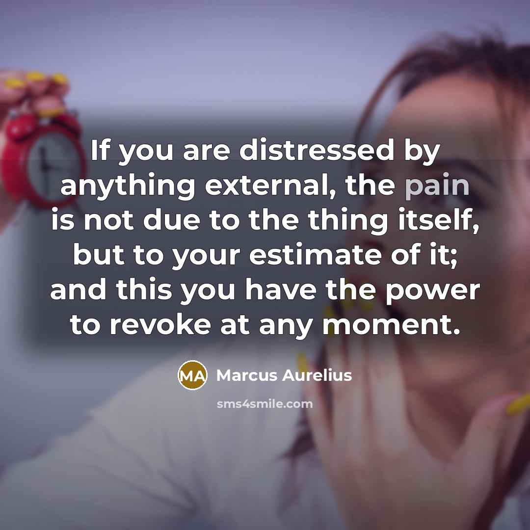 “If you are distressed by anything external, the pain is…” quote by Marcus Aurelius