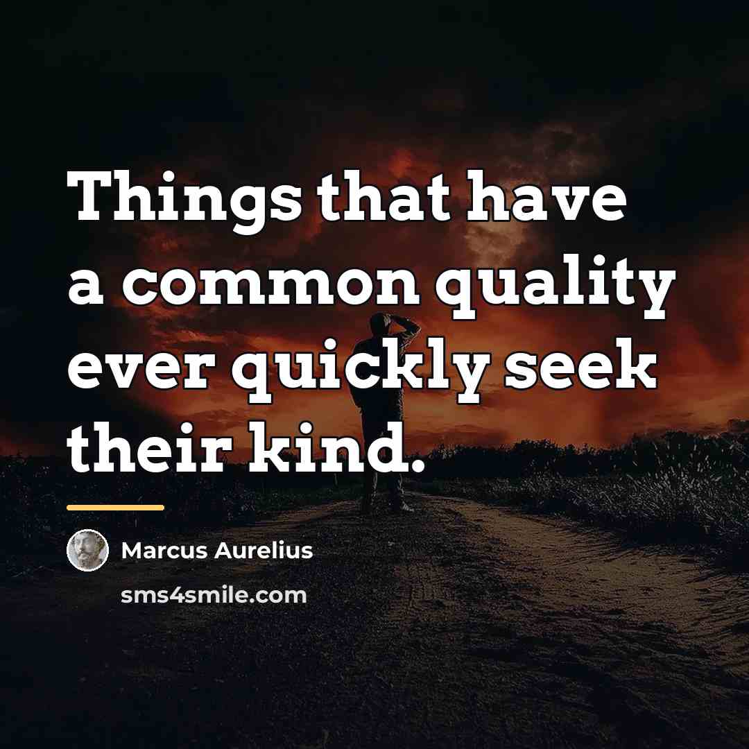 “Things that have a common quality ever quickly seek their…” quote by Marcus Aurelius