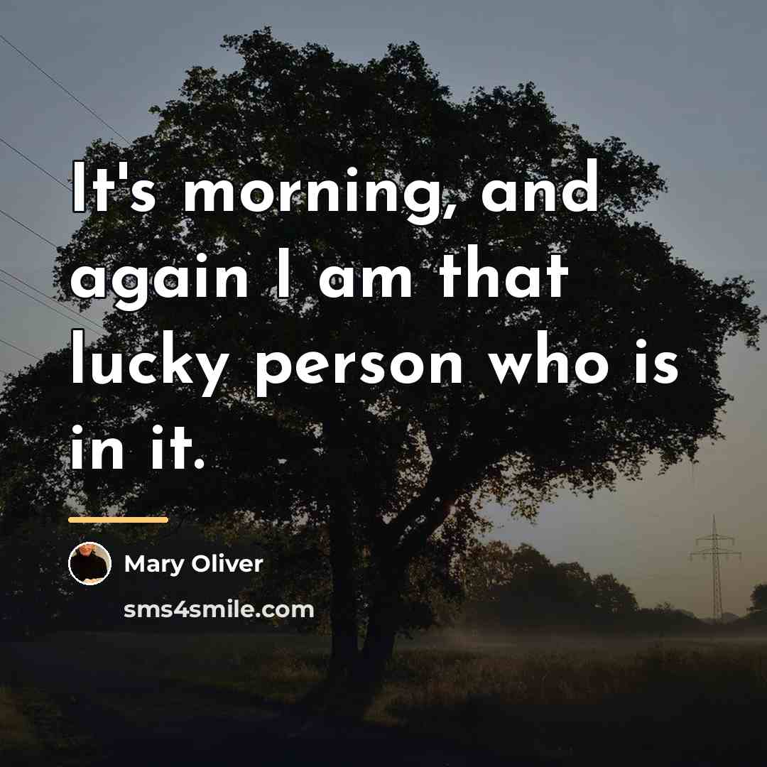 “It's morning, and again I am that lucky person who…” quote by Mary Oliver