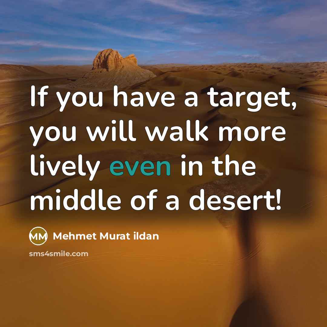 “If you have a target, you will walk more lively…” quote by Mehmet Murat Ildan