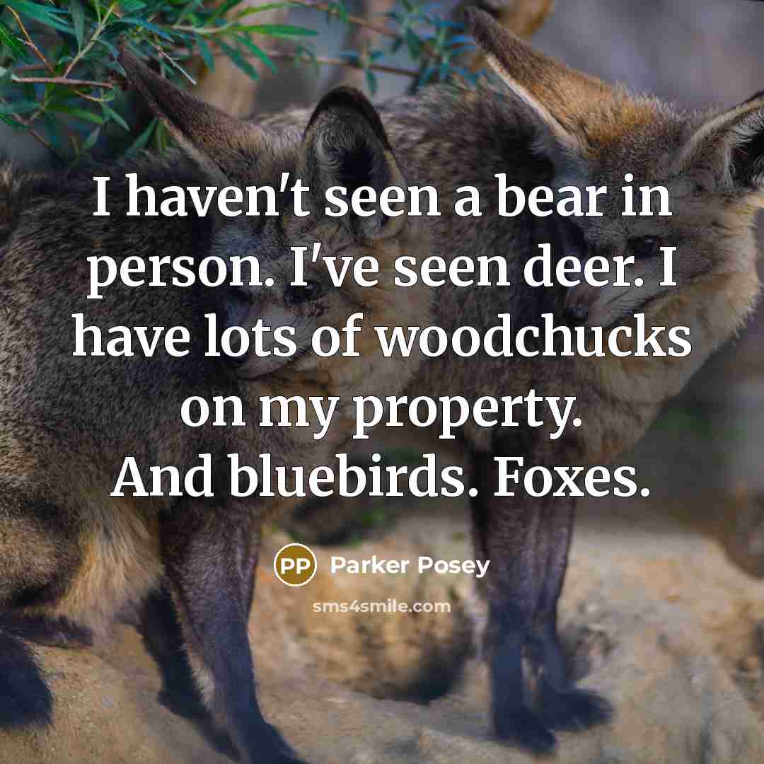 “I haven't seen a bear in person. I've seen deer. I have lots of woodchucks on my property. And bluebirds. Foxes.” quote by Parker Posey