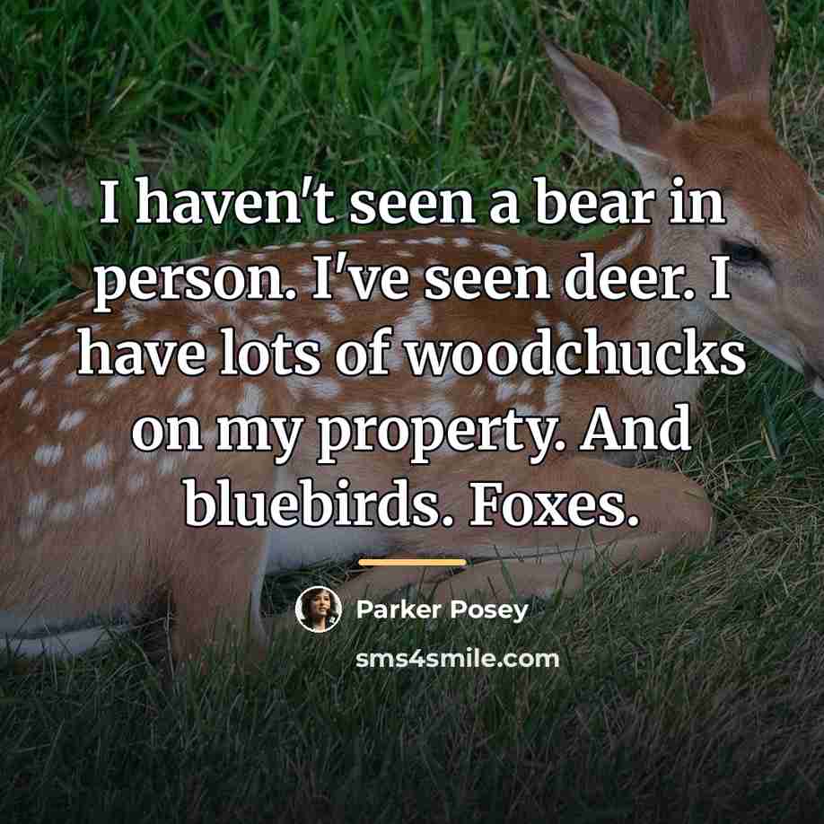 “I haven't seen a bear in person. I've seen deer.…” quote by Parker Posey