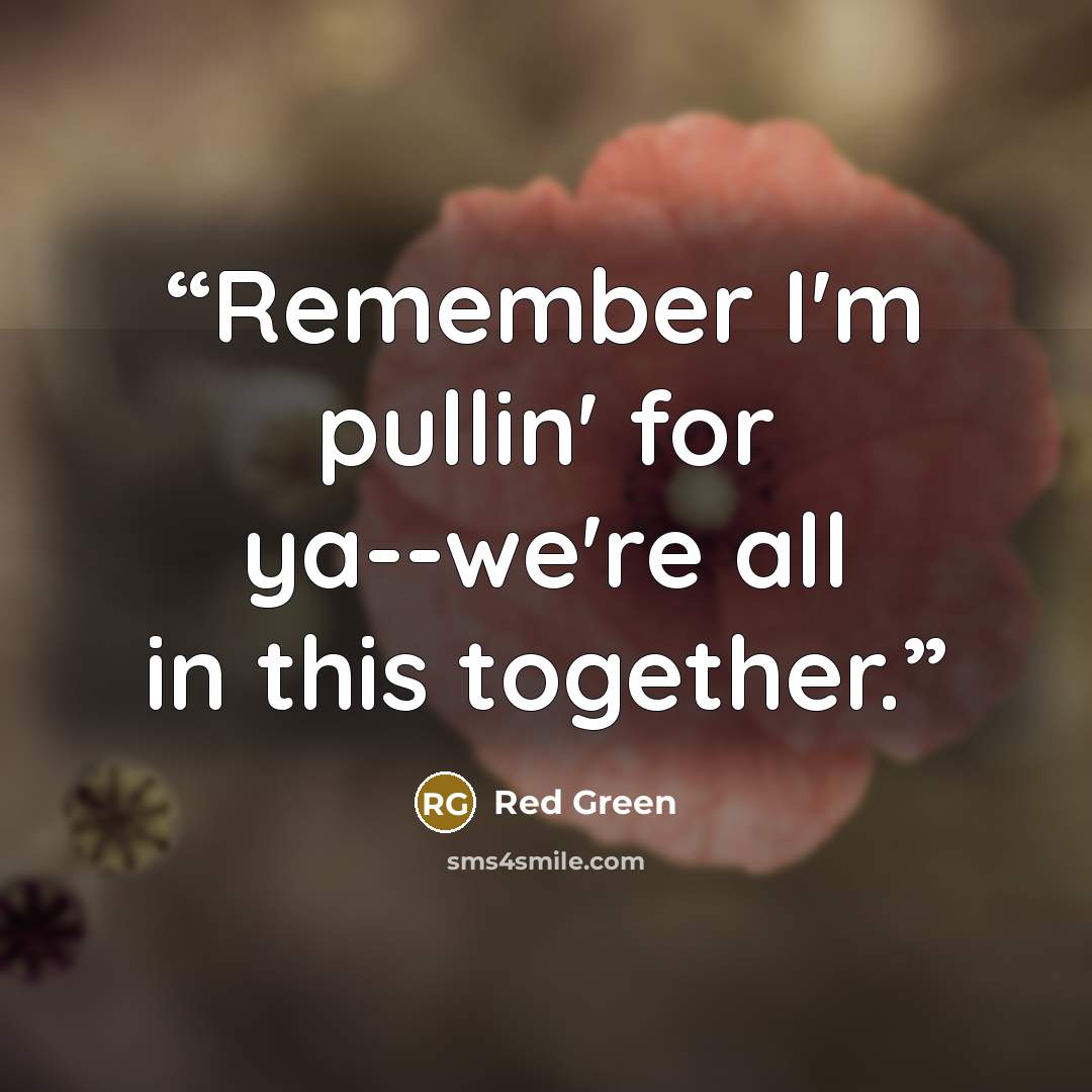“Remember I'm pullin' for ya--we're all in this together.” quote by Red Green