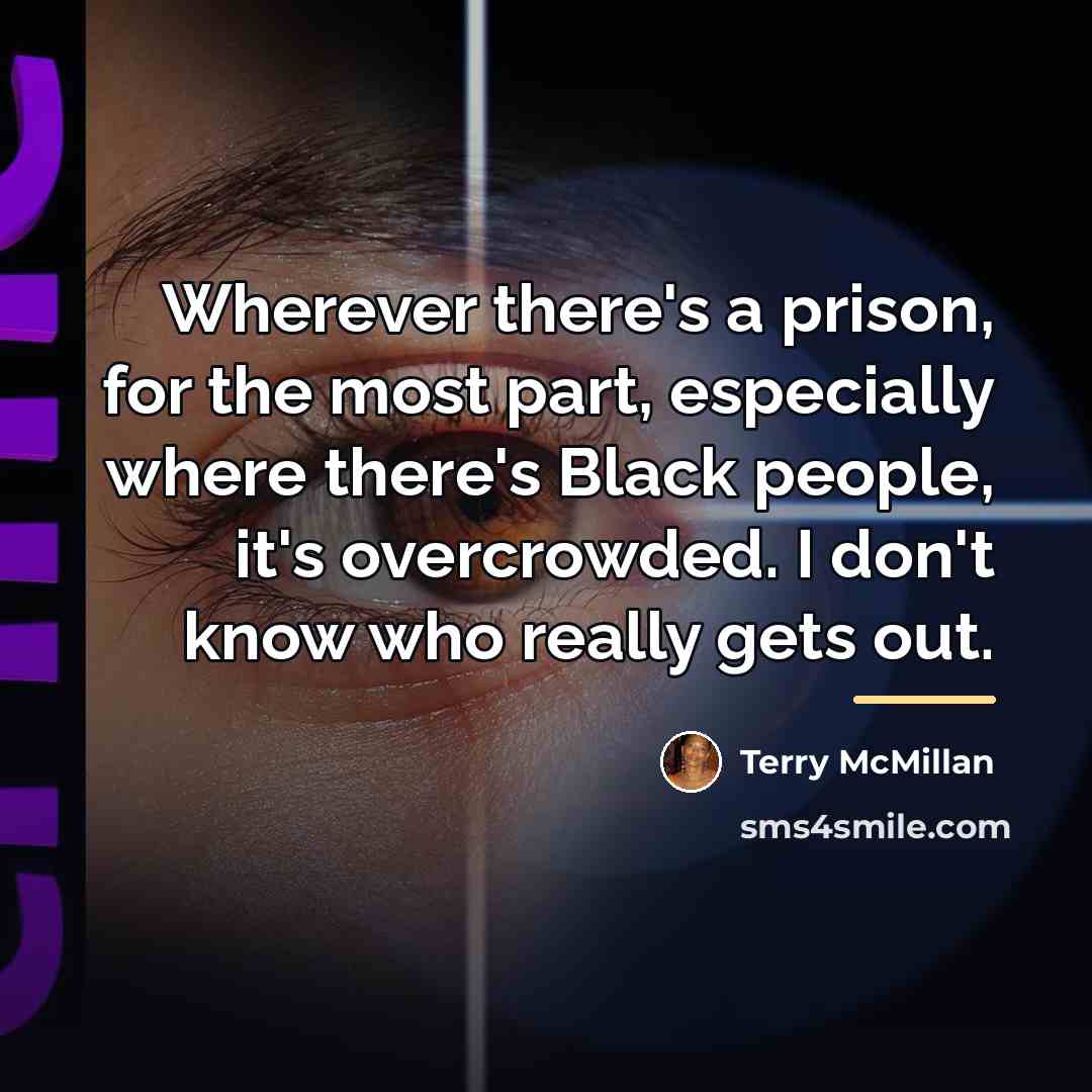 “Wherever there's a prison, for the most part, especially where…” quote by Terry McMillan