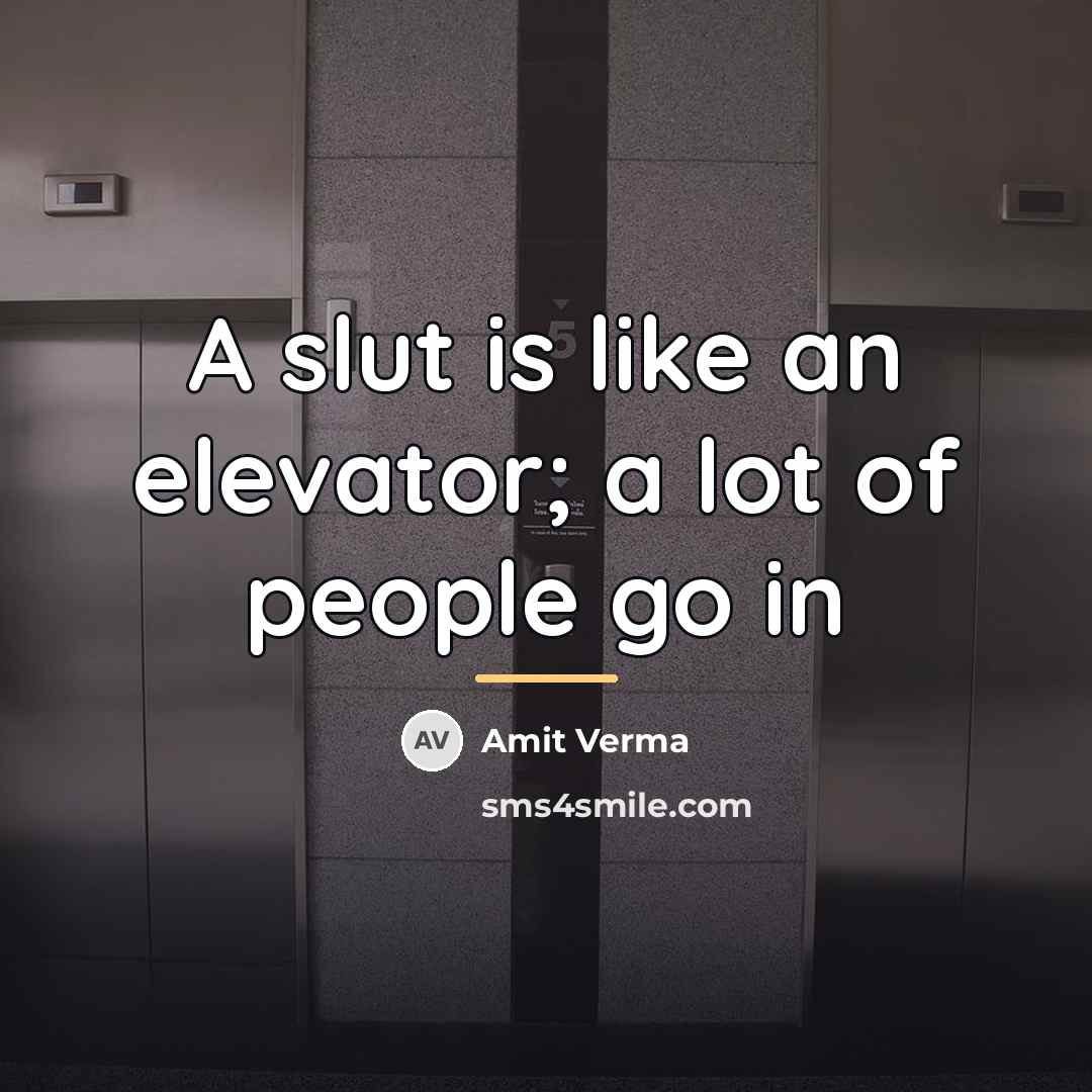 “A slut is like an elevator; a lot of people…” quote by Amit Verma