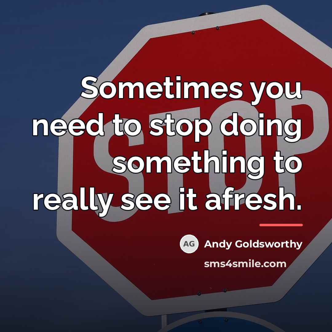 “Sometimes you need to stop doing something to really see…” quote by Andy Goldsworthy
