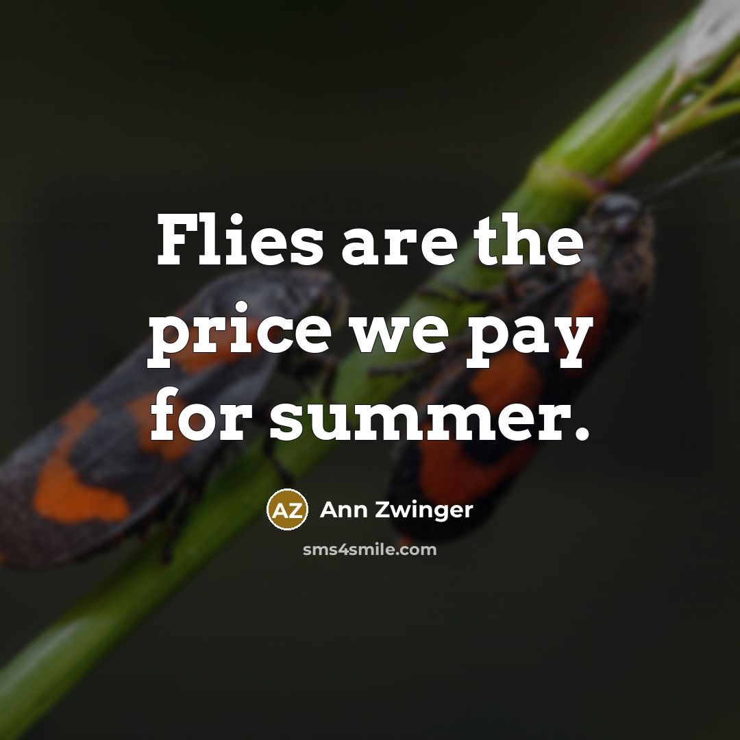 “Flies are the price we pay for summer.” quote by Ann Zwinger