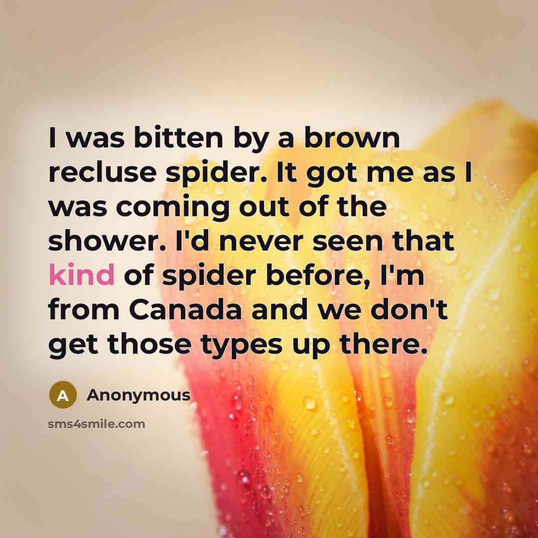 “I was bitten by a brown recluse spider. It got…” quote by Anonymous