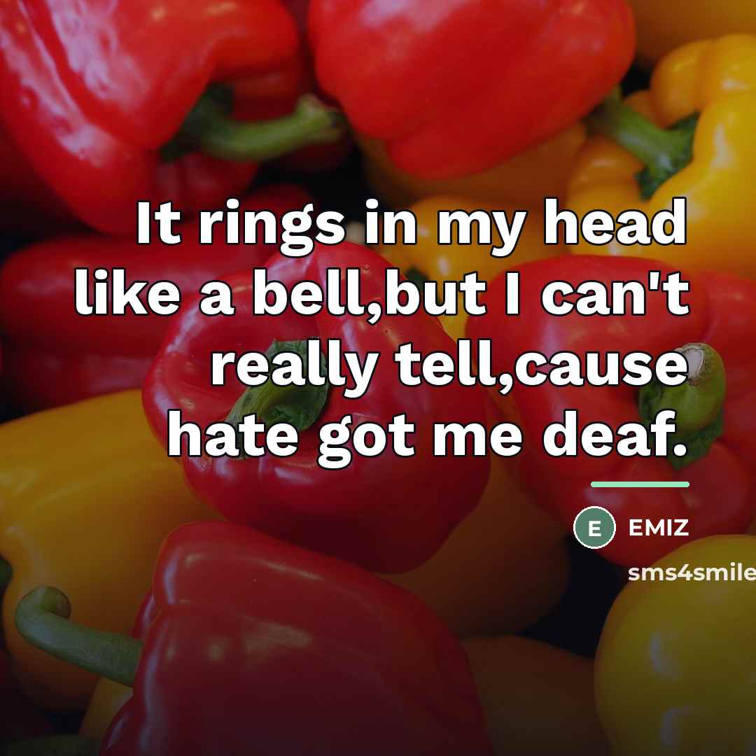 “It rings in my head like a bell,but I can't…” quote by Emiz