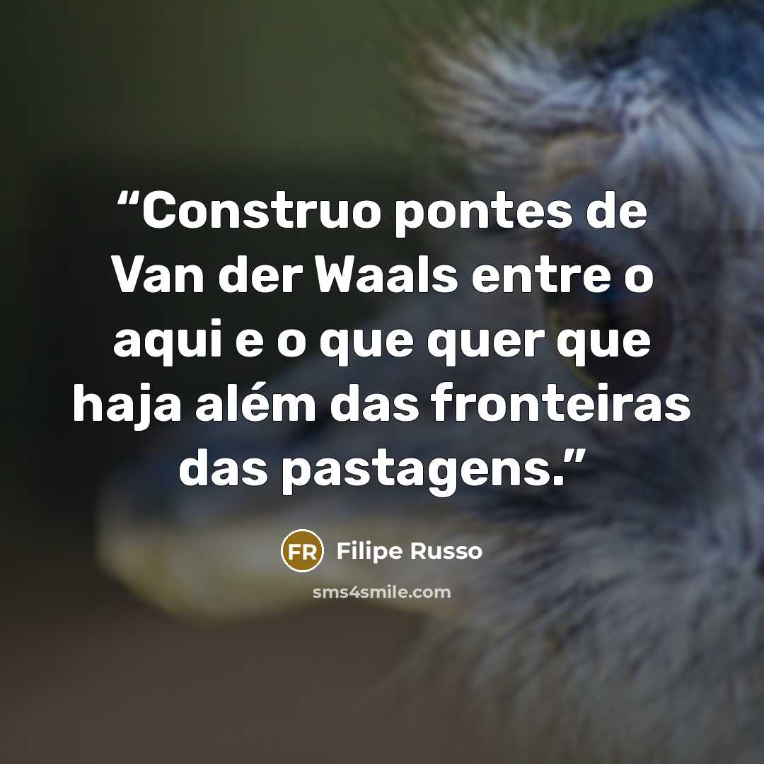“Construo pontes de Van der Waals entre o aqui e o que quer que haja além das fronteiras das pastagens.” quote by Filipe Russo
