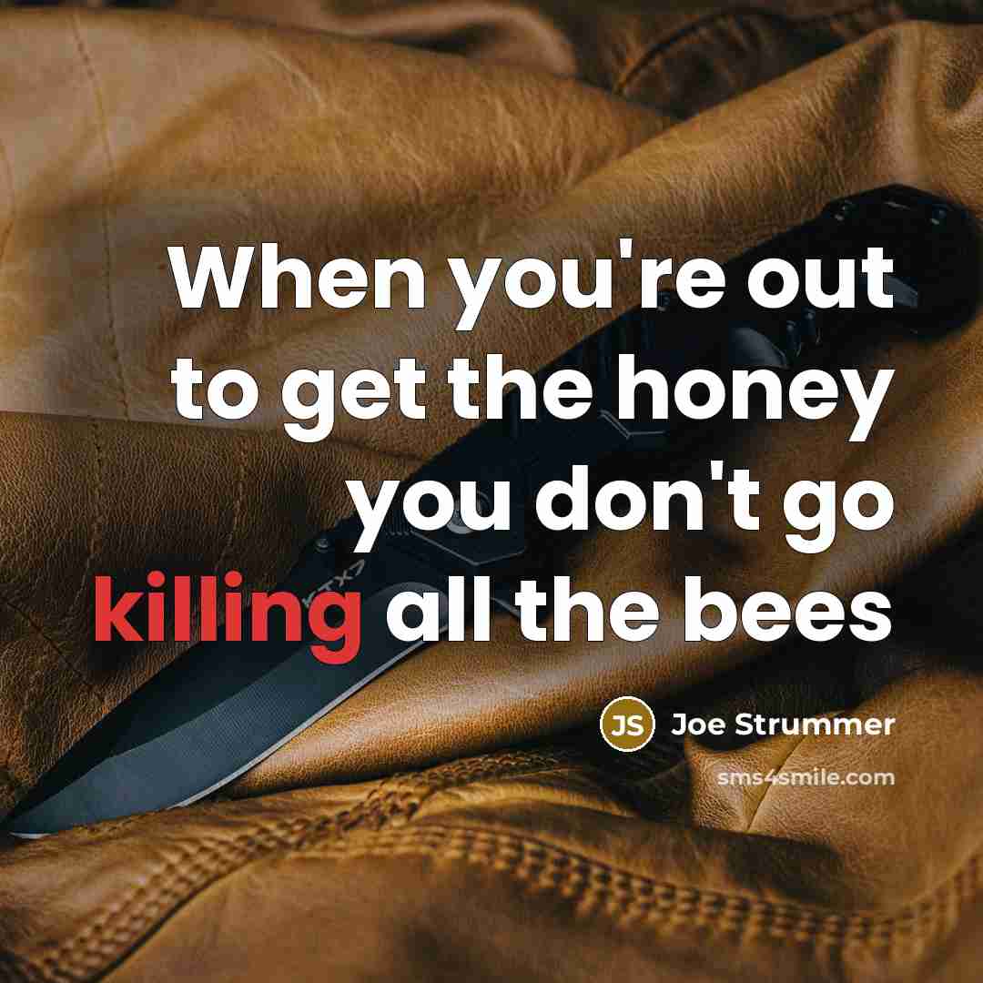 “When you're out to get the honey you don't go…” quote by Joe Strummer