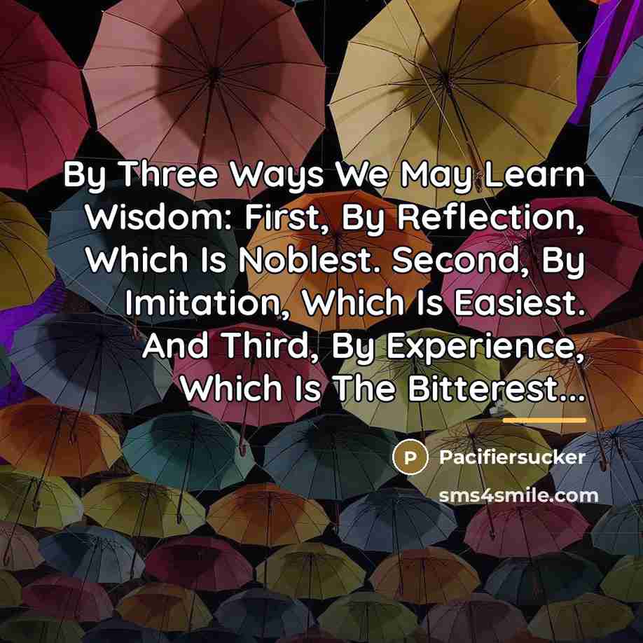 “By Three Ways We May Learn Wisdom: First, By Reflection,…” quote by Pacifiersucker