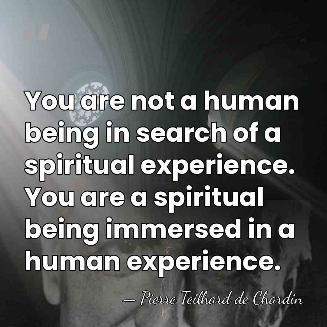 You are not a human being in search of a spiritual experience.&hellip; - Pierre Teilhard de Chardin