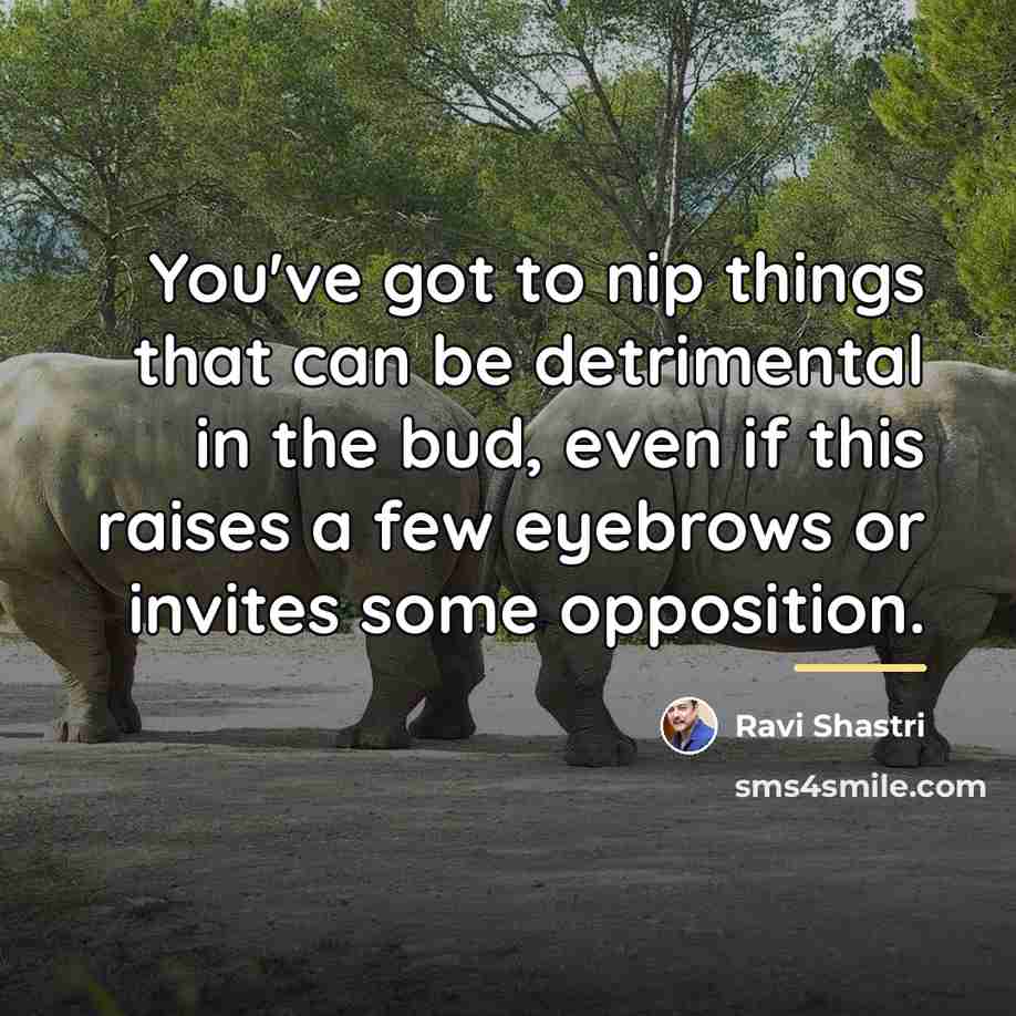 “You've got to nip things that can be detrimental in…” quote by Ravi Shastri