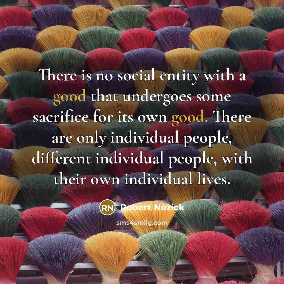 “There is no social entity with a good that undergoes…” quote by Robert Nozick