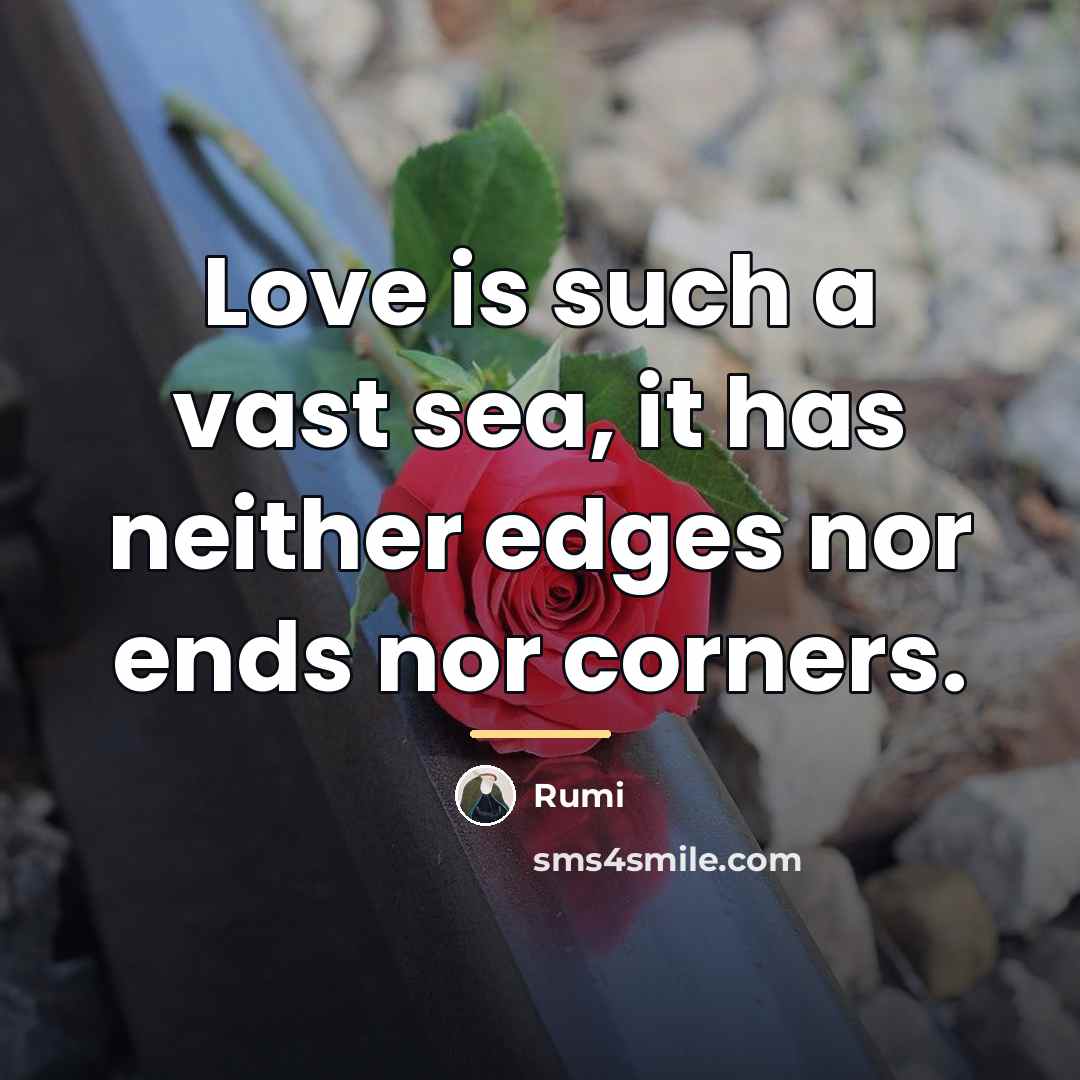 “Love is such a vast sea, it has neither edges…” quote by Rumi