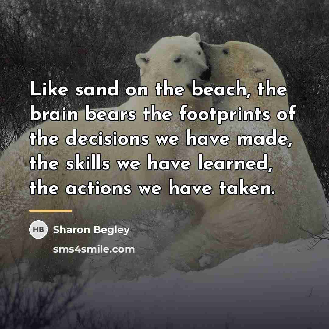 “Like sand on the beach, the brain bears the footprints…” quote by Sharon Begley