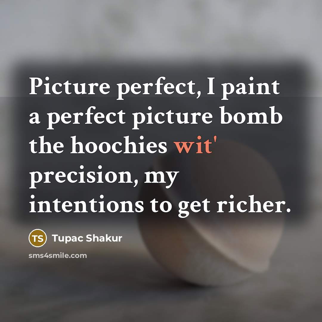 “Picture perfect, I paint a perfect picture bomb the hoochies…” quote by Tupac Shakur